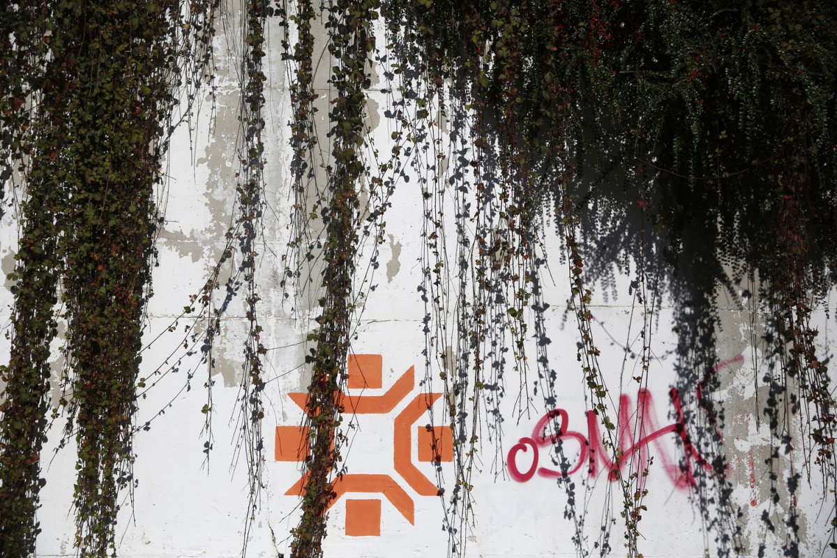 12 - Weeds grow over the walls of the Kosovo Stadium