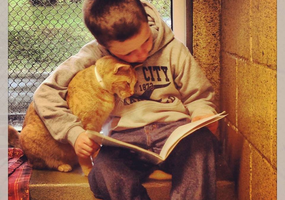 11 Photos That Will Warm Up Your Heart