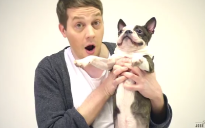 Hilariously Confused Dogs Don’t Understand Magic Tricks