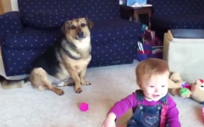 This Is What Happens When a Baby Discovers Puppy Play Time