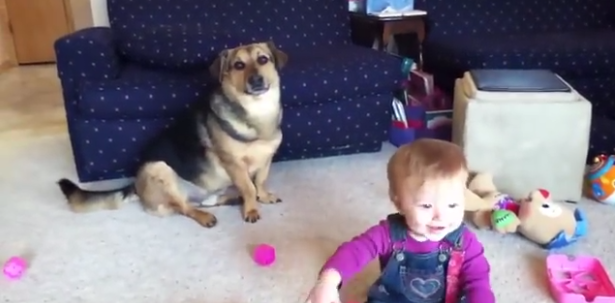 This Is What Happens When a Baby Discovers Puppy Play Time