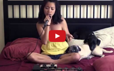 Awesome One Woman Michael Jackson Cover Impresses Everyone But This Pug