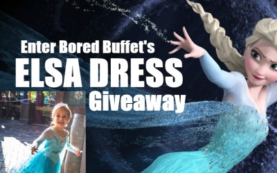 Top 5 Frozen Covers, PLUS Enter Our Elsa Dress Giveaway For Halloween!