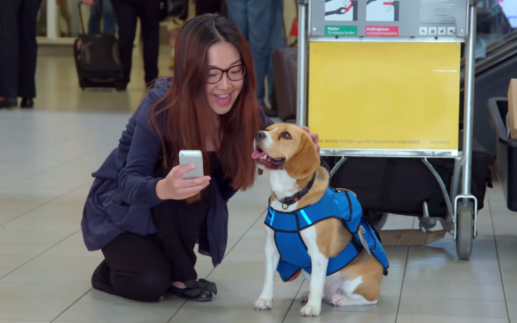 You’ll Want To Lose Your Phone On Purpose, Just So This Airline Employee Will Bring It Back To You